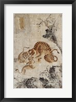 Framed Family of Tigers
