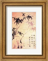 Framed Sin Wi, Bamboos