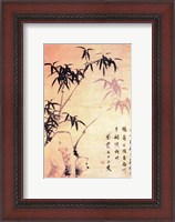 Framed Sin Wi, Bamboos