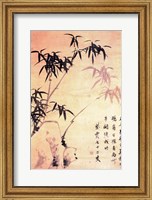 Framed Sin Wi, Bamboos