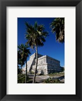 Framed Palm trees near El Castillo