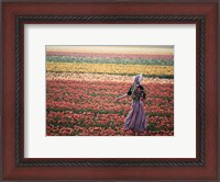 Framed Dutch Girl in Tulip Fields