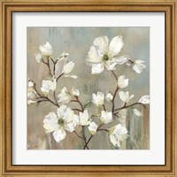 Framed Sweetbay Magnolia II