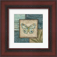 Framed Butterfly Montage II