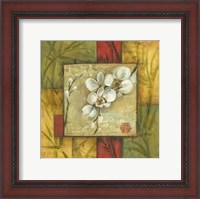 Framed Asian Orchid Montage I