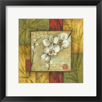 Framed Asian Orchid Montage I