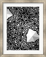 Framed Buckminster I