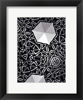 Framed Buckminster II