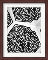 Framed Buckminster III