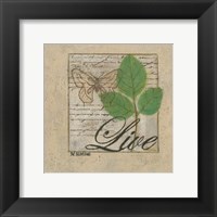 Gentle Butterfly I Framed Print