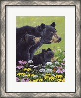 Framed Black Bears