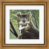 Framed Great Horned Owl