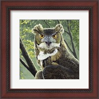 Framed Great Horned Owl