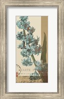 Framed French Blue III