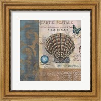 Framed Botticelli Shell I