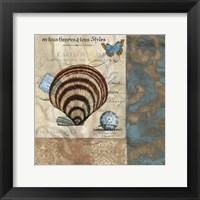 Framed Botticelli Shell II