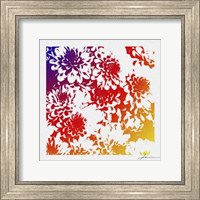 Framed Floral Brights III