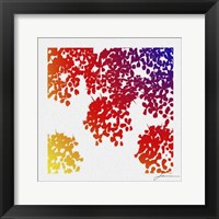 Framed Floral Brights IV