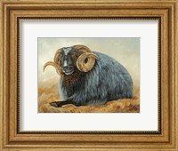 Framed Baa Baa Black Sheep