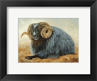 Framed Baa Baa Black Sheep