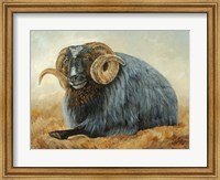 Framed Baa Baa Black Sheep