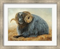 Framed Baa Baa Black Sheep