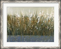 Framed By the Tall Grass II