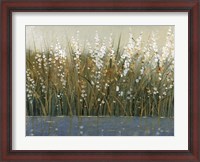 Framed By the Tall Grass II