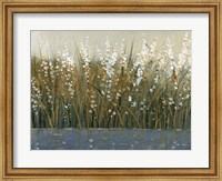 Framed By the Tall Grass II
