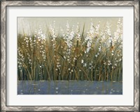 Framed By the Tall Grass II