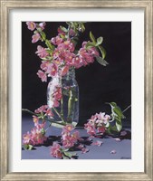 Framed Quince & Ruby II