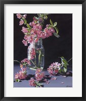 Framed 'Quince & Ruby II' border=