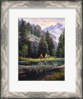 Framed Cure of the Rockies