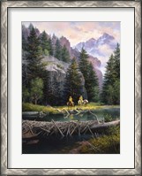 Framed Cure of the Rockies