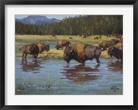 Framed Buffalo Crossing