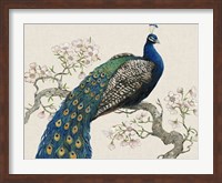 Framed Peacock & Blossoms I