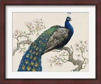 Framed Peacock & Blossoms I