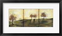 Framed Autumnal Meadow II