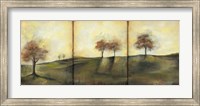 Framed Autumnal Meadow II