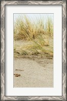 Framed Dunes I