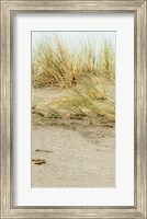 Framed Dunes I