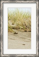 Framed Dunes II