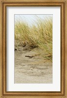 Framed Dunes III