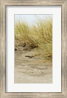 Framed Dunes III