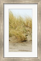 Framed Dunes IV