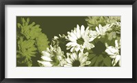 Daisy Garden I Framed Print