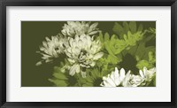 Framed Daisy Garden II