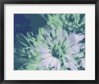 Teal Bloom II Framed Print