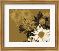 Framed Golden Bloom II