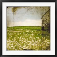 Framed Field II